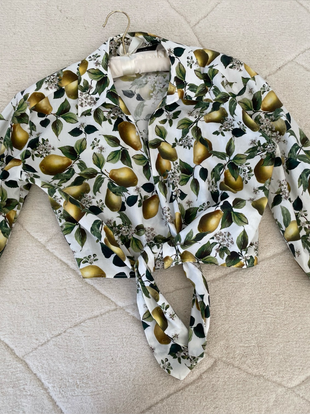 Zara tTop with Gold and Green Pear Print